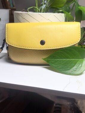 COACH HAY YELLOW/COLORBLOCK EXOTIC SNAKESKIN CLUTCH